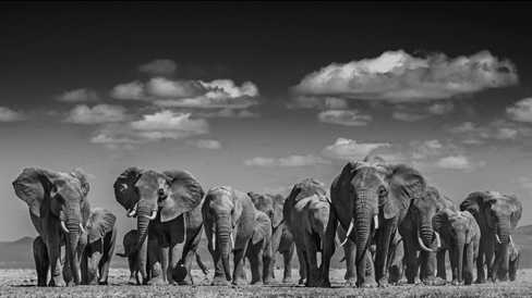 Nick Brandt