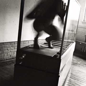 From Space, Providence, Rhode Island by Francesca Woodman