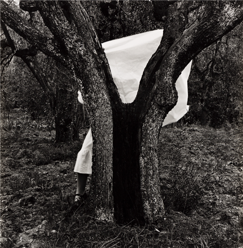 Self-portrait behind tree, Italy by Francesca Woodman