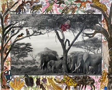 Gardeners of Eden by Peter Beard